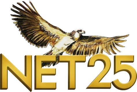 net 25 logopedia|Net 25 Logos (2021.